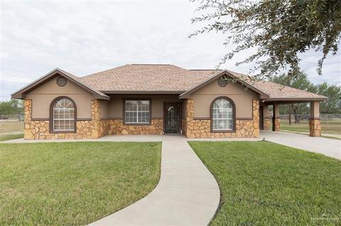 2913 Turtle Dr, Palmview, TX 78572 photo 1
