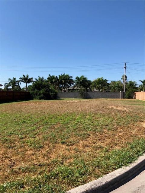 1503 Basil St, Pharr, TX 78577 photo 1