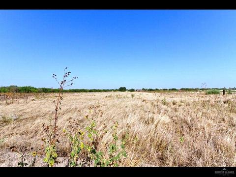 00 N Jesus Flores Rd, Monte Alto, TX 78538