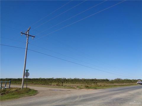 Tbd S Alamo Road, Alamo, TX 78516