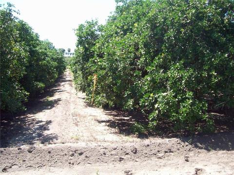 Tbd N White Ranch Road, La Feria, TX 78559