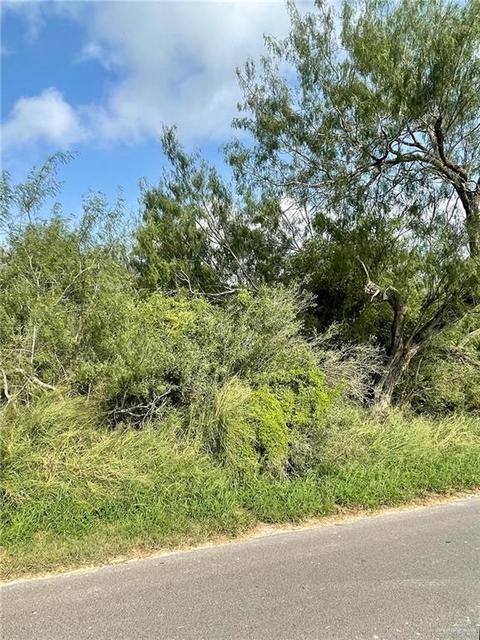 N/a Moon Lake Drive S, Progreso Lakes, TX 78596