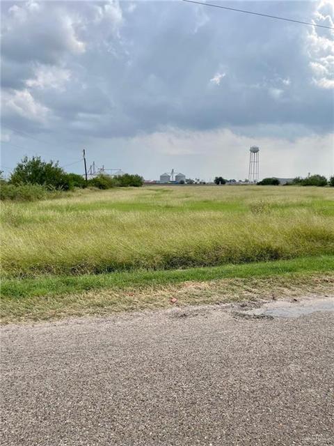 Nn Lion Lake Drive, Progreso Lakes, TX 78596