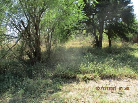 0 E Mirasoles St, Rio Grande City, TX 78582