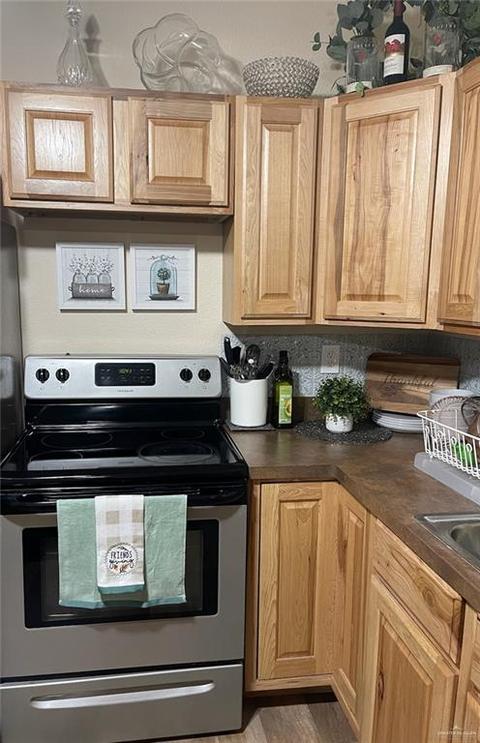 561 Lion Lake Dr N, Progreso Lakes, TX 78596 photo 7