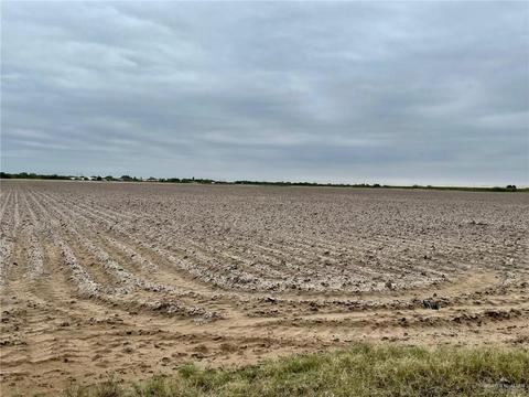 tbd Mile 12 12 North Rd, Mercedes, TX 78570