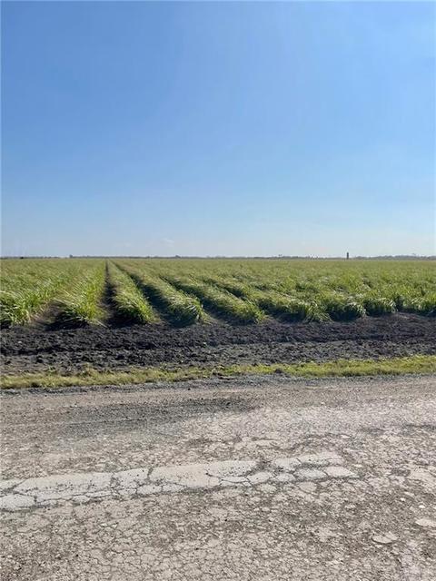 Tbd S Gonzalez Road, Progreso, TX 78579