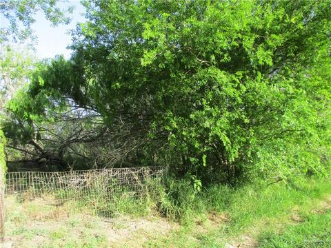 0 Cantu Rd, Santa Rosa, TX 78593