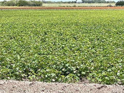 tbd W Baker Dr, Progreso, TX 78579 photo 4