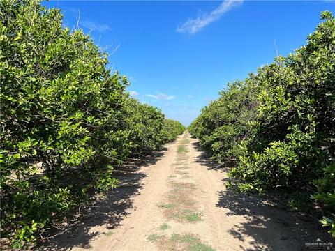 10 N 75 Mi N Western Rd, Edinburg, TX 78541