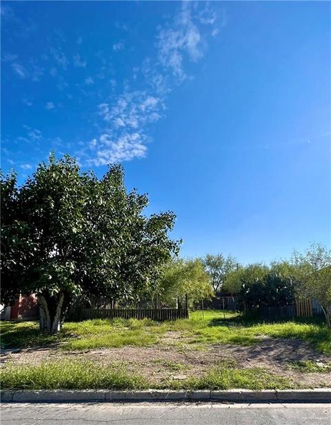 6711 S Lorenzo St, Pharr, TX 78577