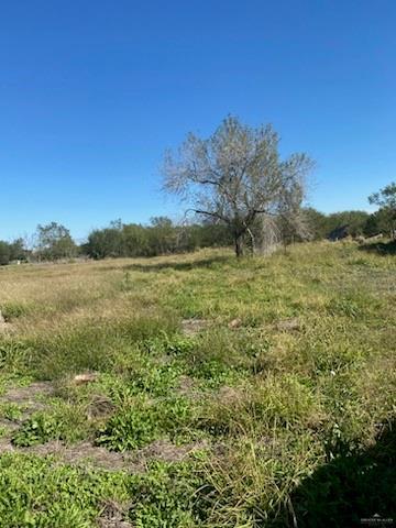 000 S Fm 493 Hwy, Donna, TX 78537