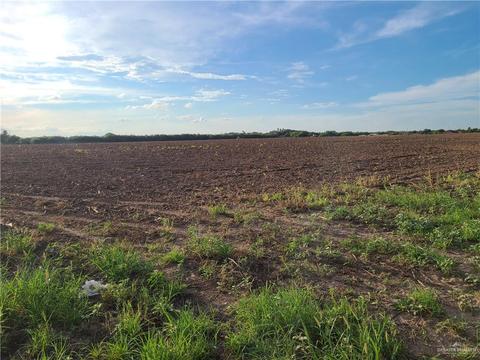 00 Benito A Ramirez Rd, Edinburg, TX 78542