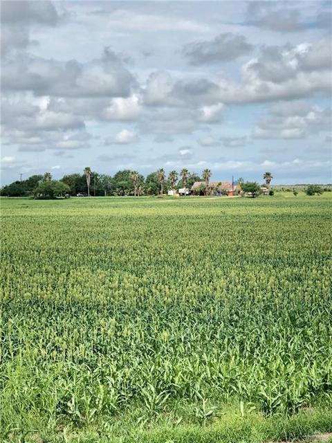 4802 S Bridge Ave, Weslaco, TX 78596