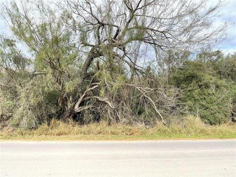 N/a S Moon Lake Drive S, Progreso Lakes, TX 78596