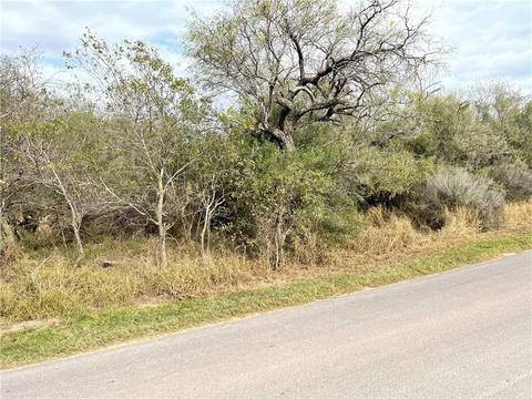 N/a S Moon Lake Drive, Progreso Lakes, TX 78596
