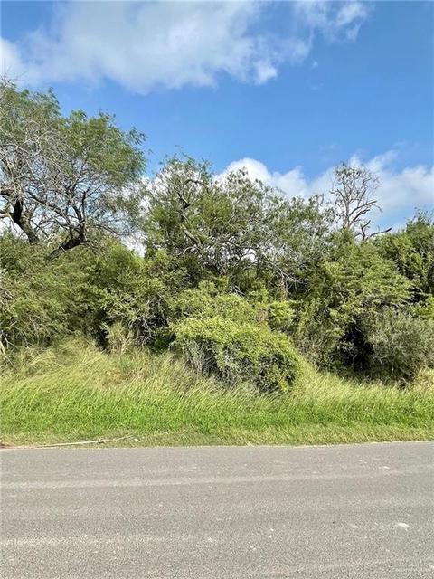 N/a Moon Lake Drive S, Progreso Lakes, TX 78596