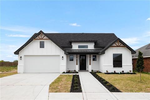 923 Thomas Ln, Alamo, TX 78516