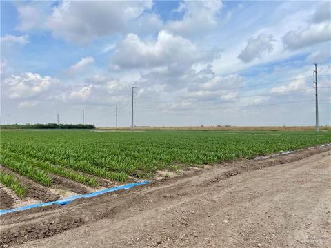 tbd N Frontera Rd N, Progreso, TX 78579 photo 2