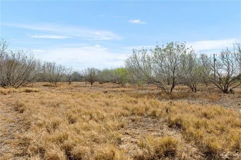 001 Cibolo Rd, Edinburg, TX 78542