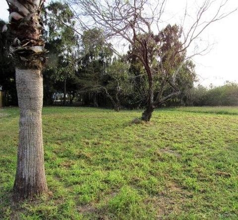 107 W Pompano St W, South Padre Island, TX 78597