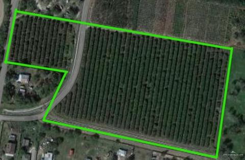 7 12 Brushline Rd, Mission, TX 78574
