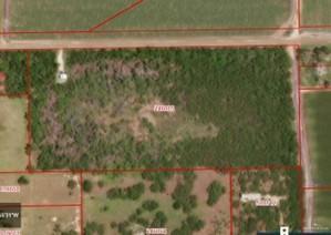 000 Fm 491, Edcouch, TX 78538