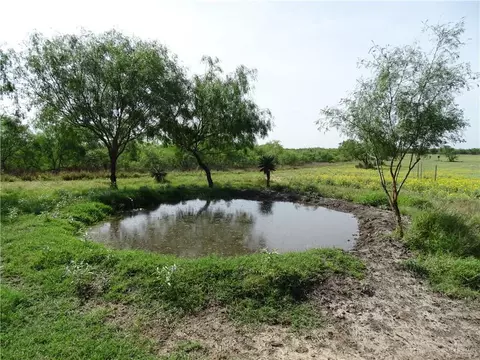 0 Fm 2294 Hwy, San Isidro, TX 78588