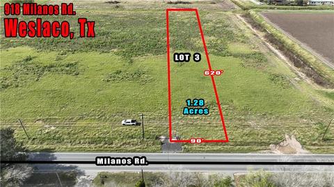 918 S Milanos Rd, Weslaco, TX 78596