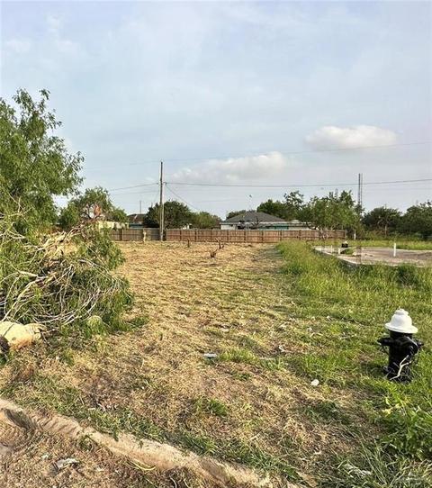 1118 S Veronica St, Progreso, TX 78579