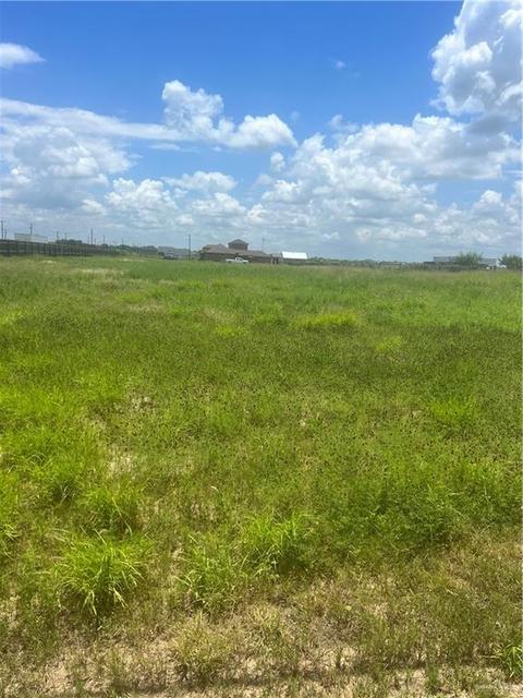 22918 Mile 5 12 Rd, Monte Alto, TX 78538