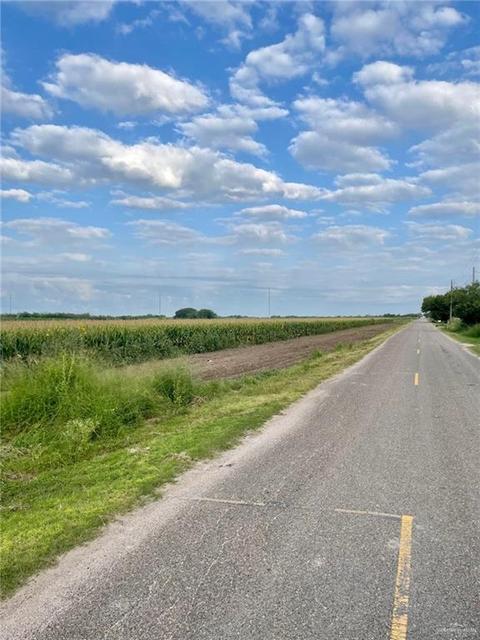 Tbd E Curve Road S, Edinburg, TX 78542