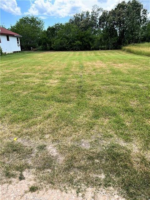 705 Chacoma Pl, Mercedes, TX 78570