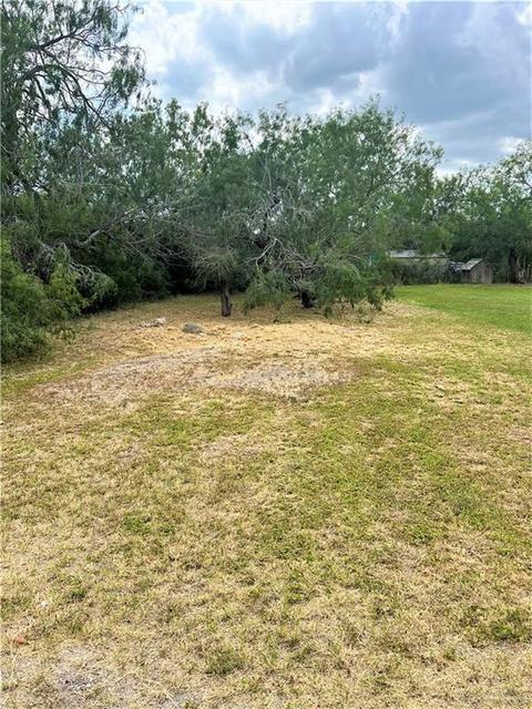 825 Chacoma Pl, Mercedes, TX 78570