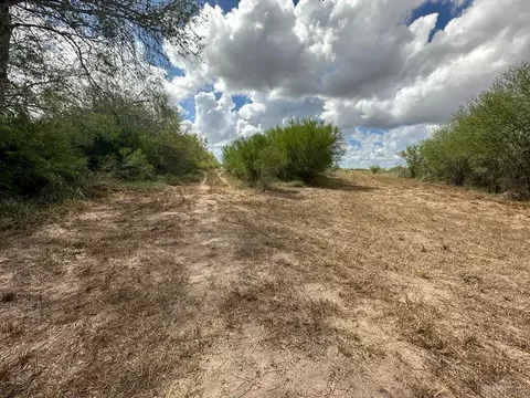 Tbd Cr 408, Premont, TX 78355