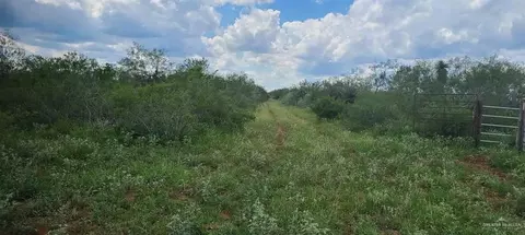 3980 Fm 1017 Rd, Santa Elena, TX 78591