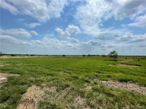 Tbd Mile 2 1/2 E, Mercedes, TX 78570
