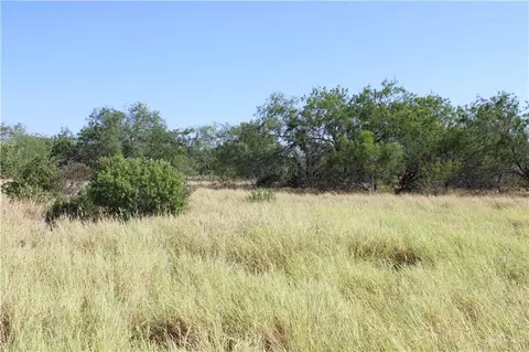 0 Mile 14 N Rd, Rio Grande City, TX 78582