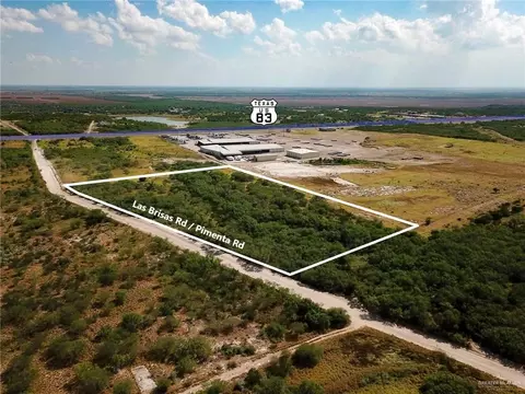 Tr-04 Pimenta Road, Rio Grande City, TX 78582