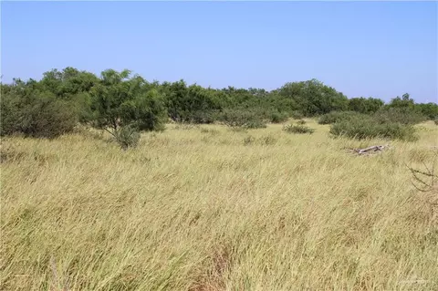 00 Mile 14 N Rd, Rio Grande City, TX 78582