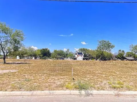 2802 Mehran Dr, Palmview, TX 78572