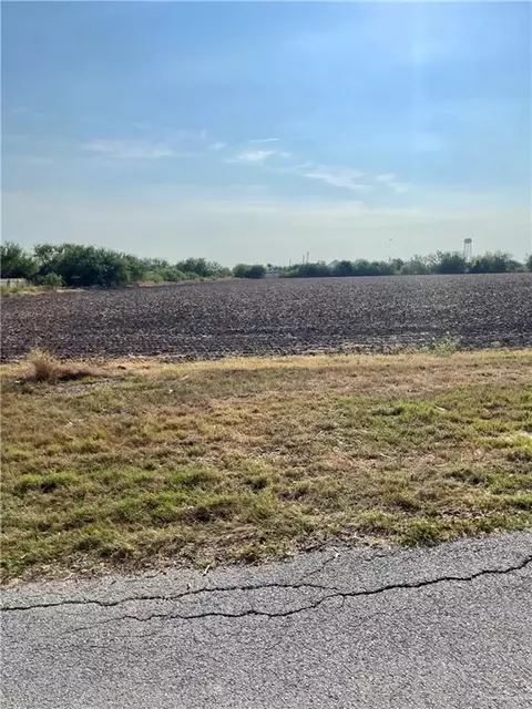 0 S Lion Lake Dr, Progreso, TX 78596