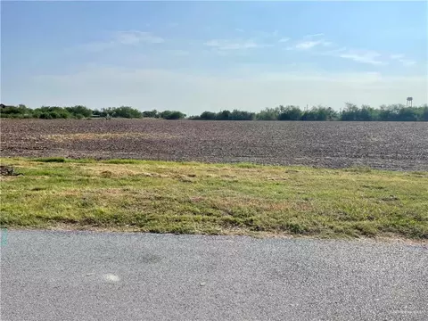 0 S Lion Lake Dr, Progreso, TX 78596 photo 2