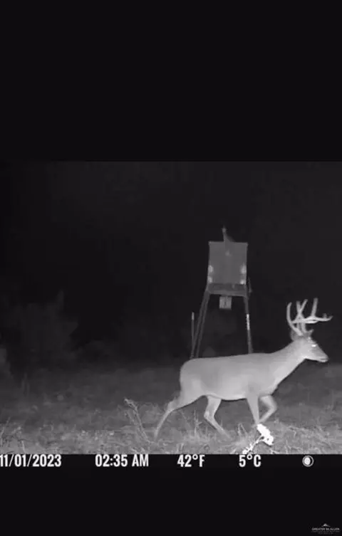Tbd Fm 1418, Falfurrias, TX 78355