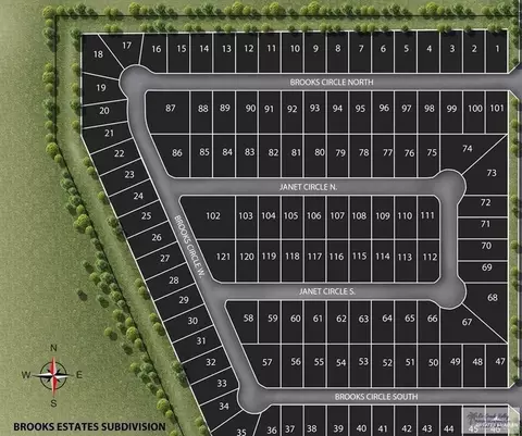000 Janet Cir S, La Feria, TX 78559
