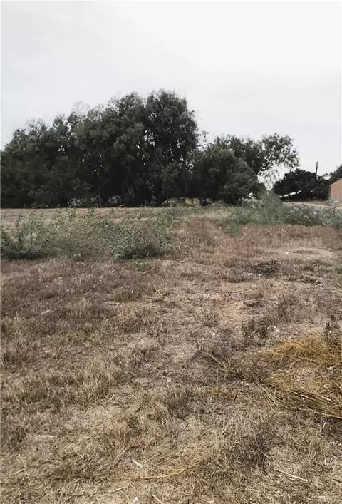 701 Chacoma Pl, Mercedes, TX 78570