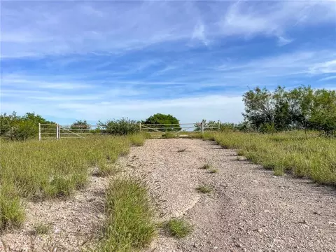 Tbd N San Julian Road, Roma, TX 78584