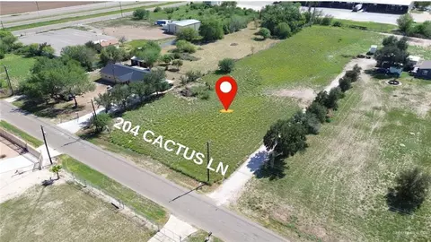 204 Cactus Ln, Edinburg, TX 78541