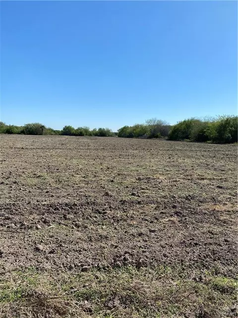 3580 N Mile 4 12 W, Weslaco, TX 78599