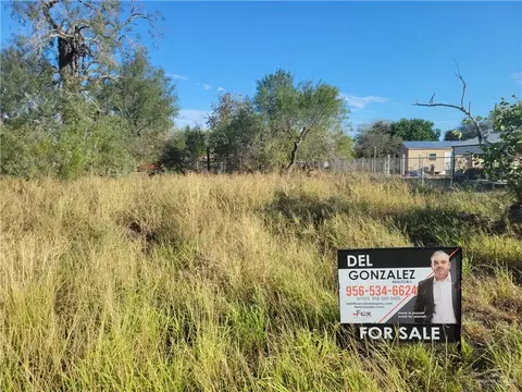8234 Trimble Ave, Monte Alto, TX 78538